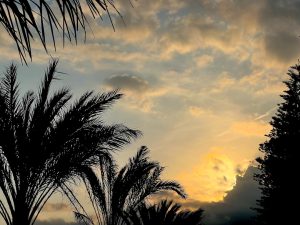 סדרות ישראליות שנכנסות למיינסטרים הבינלאומי